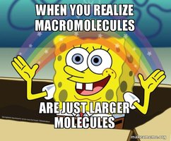 SpongeBob meme about macromolecules being large molecules