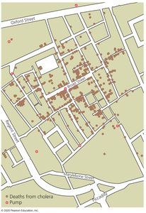 Map of cholera cases in London (John Snow's study)