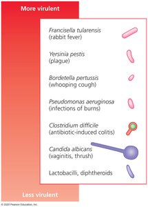 Virulence scale of various pathogens