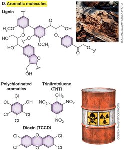 Aromatic molecules diagram