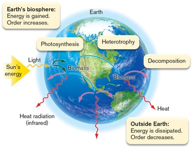 Earth's biosphere energy flow