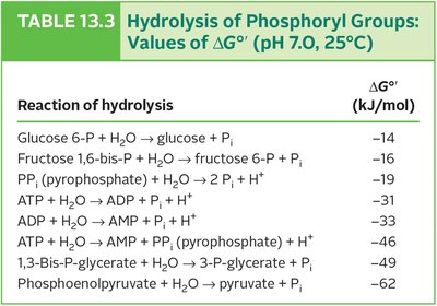 Hydrolysis of phosphoryl groups table