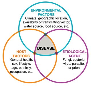 Epidemiological triangle