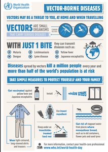 Vector-borne disease prevention