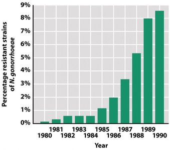 Percentage of penicillin-resistant strains of N. gonorrhoeae over time