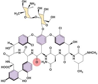 Structure of vancomycin