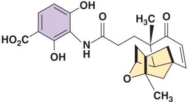 Structure of platensimycin
