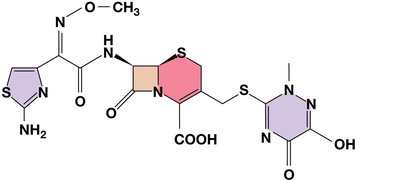 Cephalosporin structure