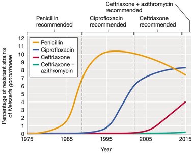 Emergence of drug resistance in Neisseria