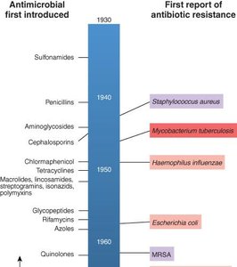 Timeline of antimicrobial resistance emergence
