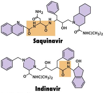 Computer-designed HIV protease inhibitors