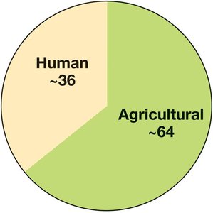 Antibiotic usage in metric tons