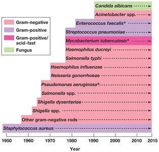 Timeline of emergence of antimicrobial drug-resistant pathogens