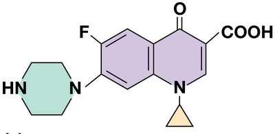 Structure of a fluoroquinolone antibiotic