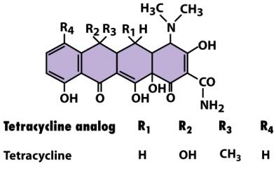 Structure of a tetracycline antibiotic