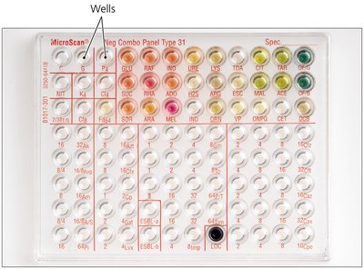 Biochemical test panel with wells
