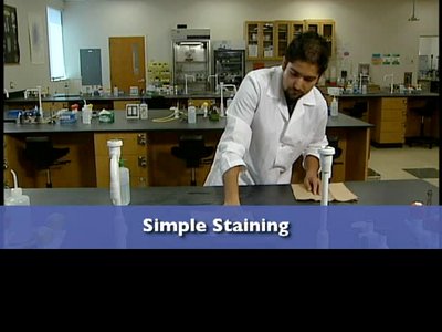 Simple stain before and after