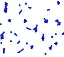 Growth patterns in broth diagram