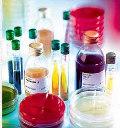 Agar in slant, Petri plate, and deep forms