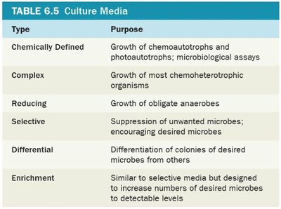 Streak plate method for isolating pure cultures