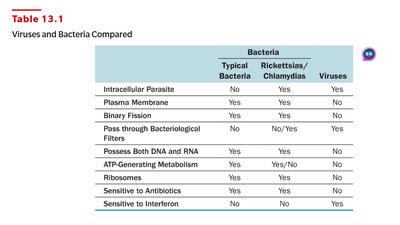 Viruses and Bacteria Compared