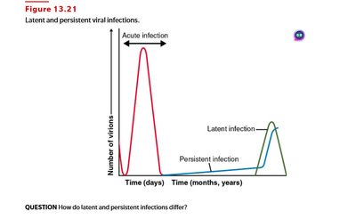 Latent and persistent viral infections
