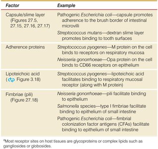 Table of microbial adherence factors and examples
