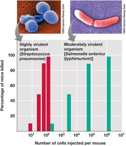 Graph comparing LD50 of highly and moderately virulent organisms