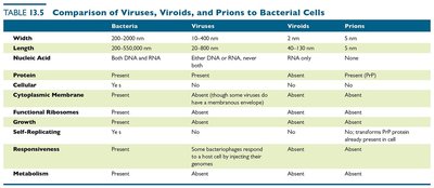 Comparison of viruses, viroids, prions, and bacterial cells