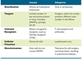 Comparison table of innate and adaptive immunity