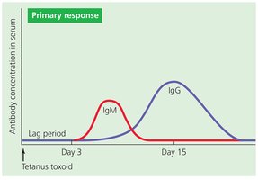 Primary immune response graph