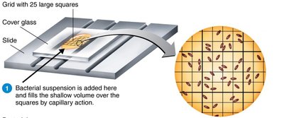 Counting chamber for direct cell count