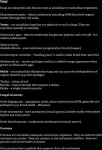 Fungi and protozoa taxonomy and characteristics