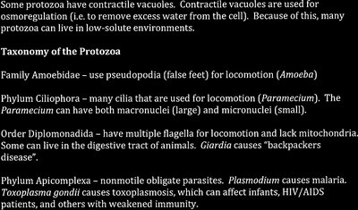 Protozoa taxonomy and locomotion