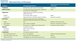 Table of protozoa characteristics
