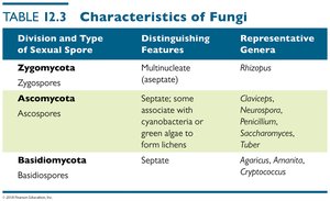 Table of fungal characteristics