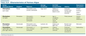 Table of algae characteristics