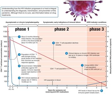 Progression of HIV infection