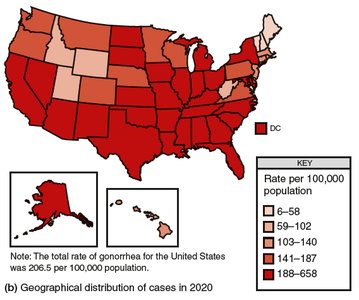 Geographical distribution of gonorrhea cases in the US