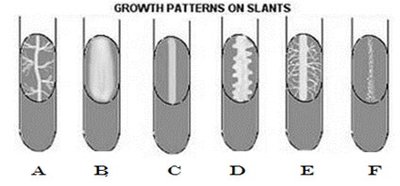 Growth patterns on slants
