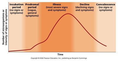 Graph of stages of disease development
