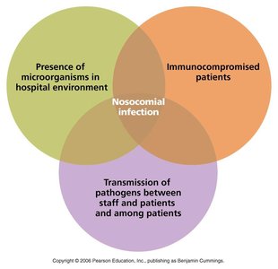 Venn diagram of nosocomial infection factors