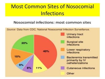 Pie chart of most common sites of nosocomial infections