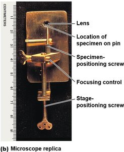 Replica of Leeuwenhoek's microscope