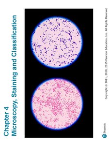 Microscopy, Staining, and Classification cover with stained slides