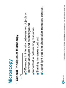 Contrast principles in microscopy