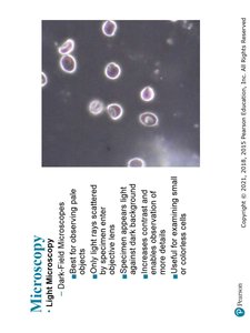 Four kinds of light microscopy