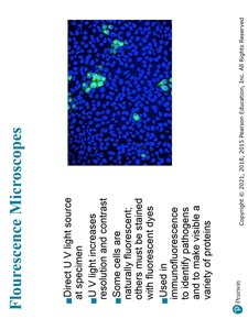 Immunofluorescence microscopy explanation