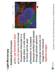 Transmission electron microscope diagram