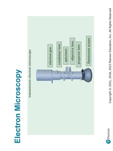 SEM images and diagram